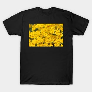 Yellow daisies T-Shirt